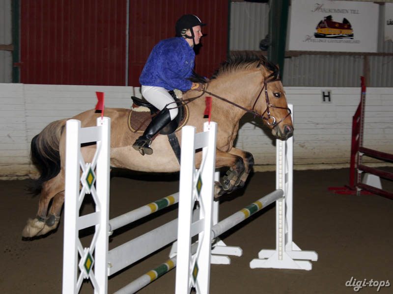 20081109_131032_0082 Jennifer Olden JH Frasse