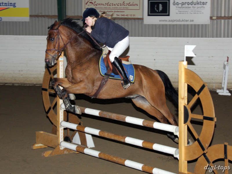 20081109_133356_0105 Petronella Runsteen Sprighty Abloom