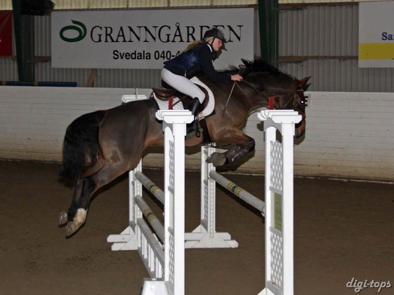 20081109_135756_0122 Ida Svensson Aquaman