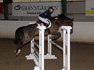 20081109_135756_0122 Ida Svensson Aquaman