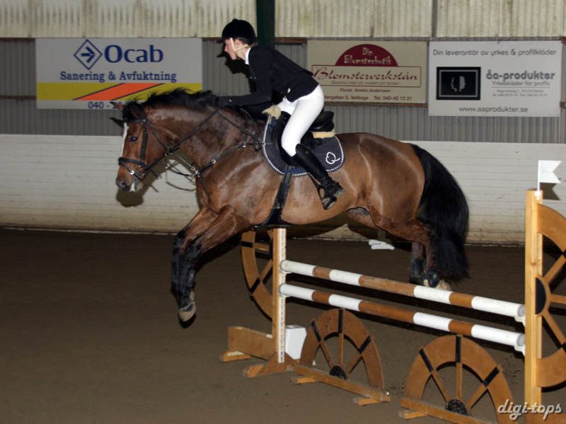 20081109_150502_0230 Linnea Gustafsson JHs Q