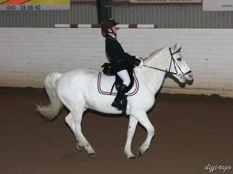 20081123_101602_0016 Linnea Friman Honey Boy