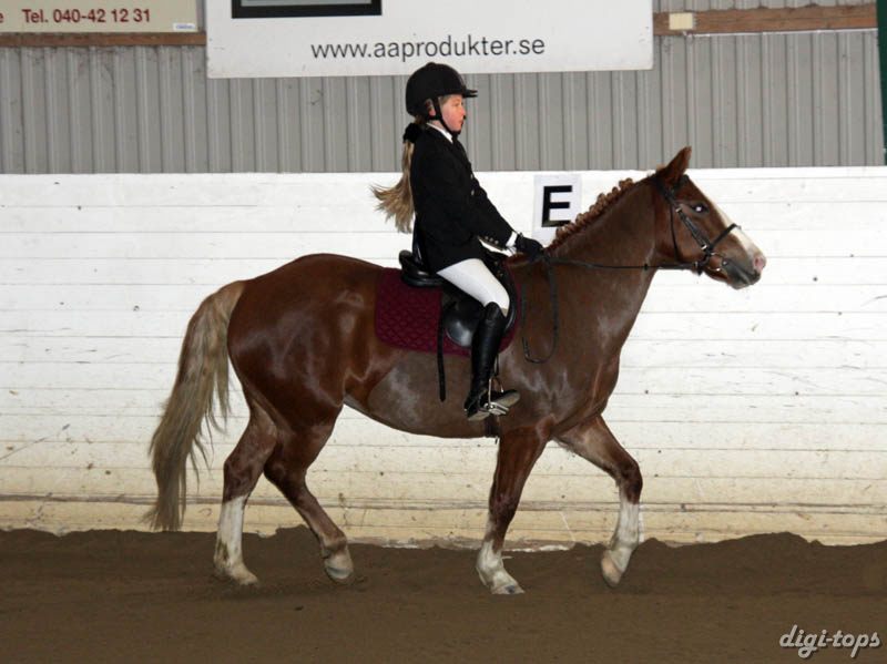 20081123_102030_0020 Maja Lundgren Madonna