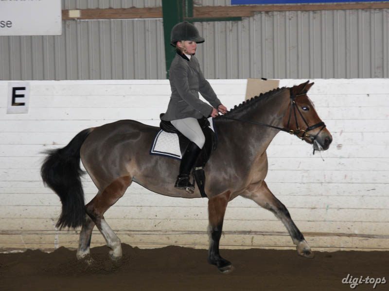 20081123_102708_0031 Sofia Hansson Djessie