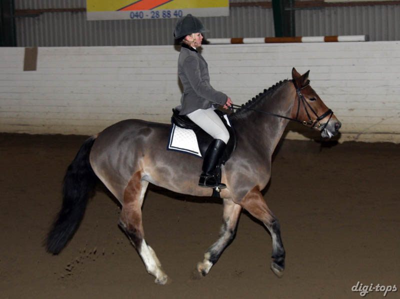 20081123_102928_0035 Sofia Hansson Djessie