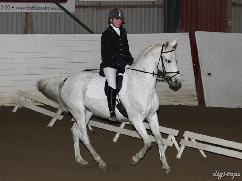 20081123_104254_0048 Erica L Siltberg Angela