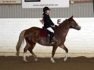 20081123_102030_0020 Maja Lundgren Madonna