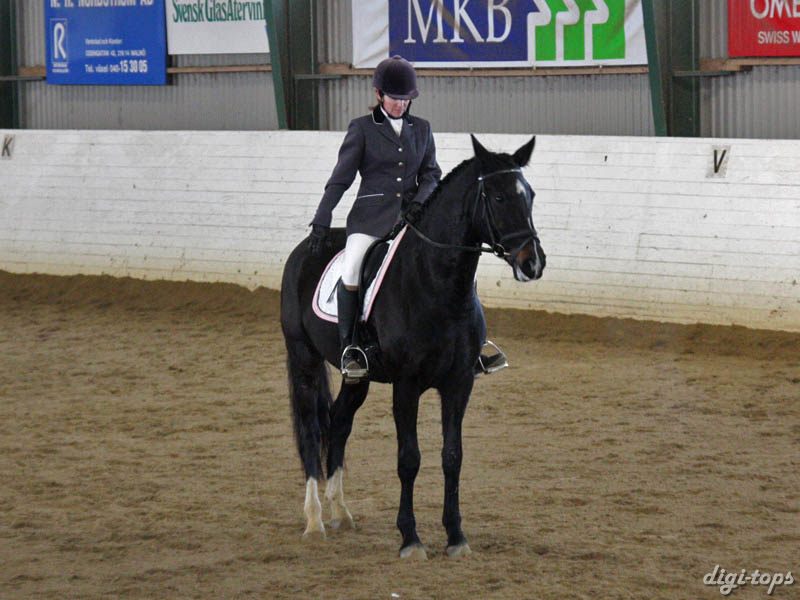 20081123_121350_0139 Anette Baroni Vienne