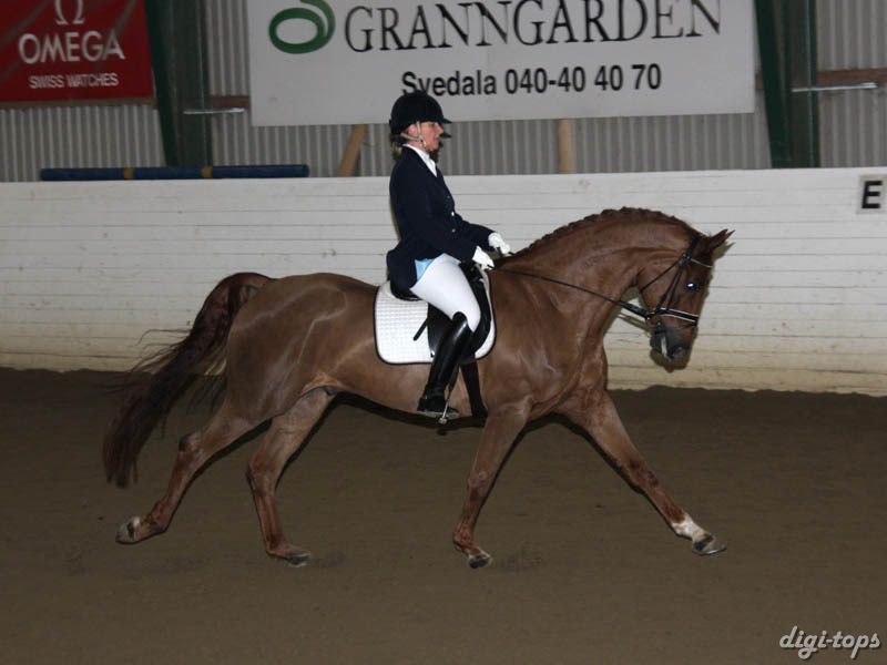 20081123_124400_0150 Ulrika Andersson Wonderboy