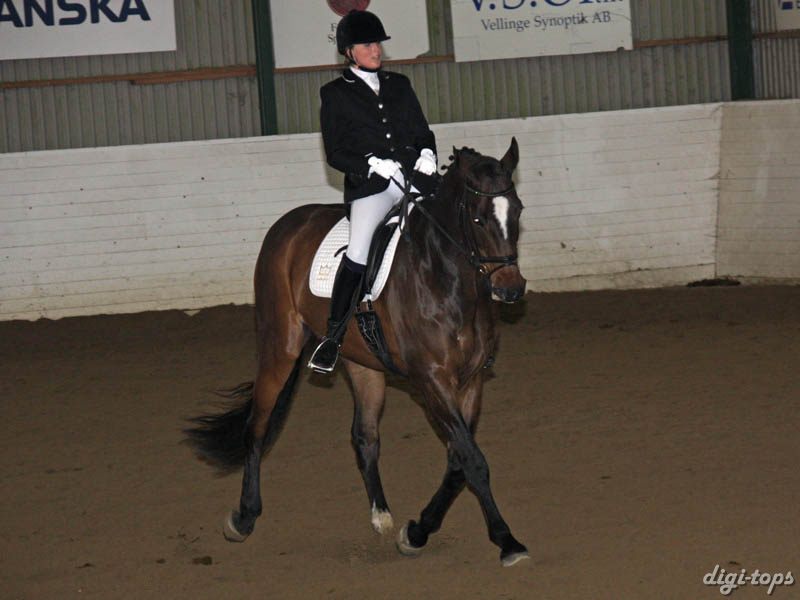 20081123_124920_0155 Christina Remmer Parco DV 996