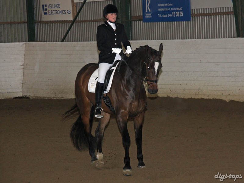 20081123_125024_0158 Christina Remmer Parco DV 996