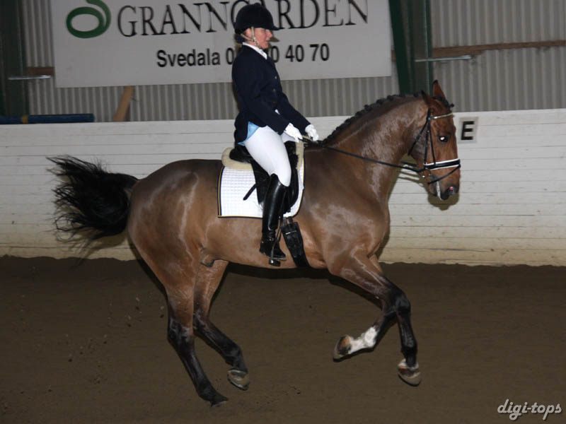 20081123_131748_0180 Ulrika Andersson Ruskin