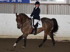 20081123_131720_0179 Ulrika Andersson Ruskin