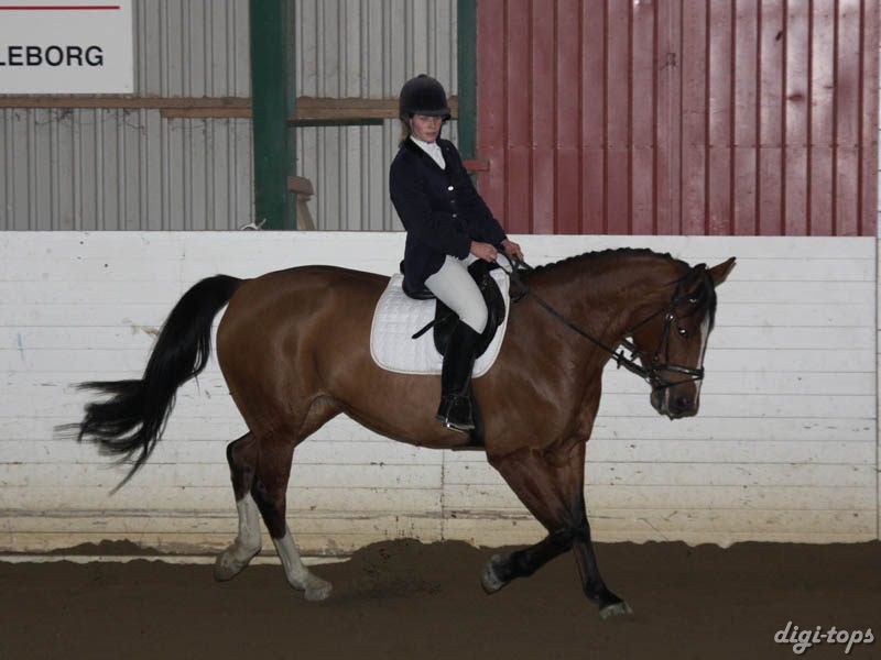 20081123_110758_0078 Petra Missler Camara