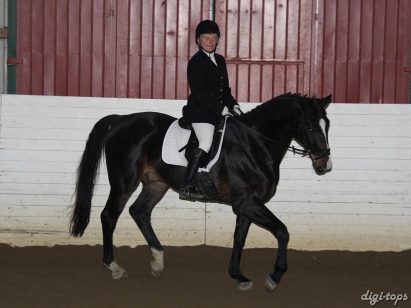 20081123_111416_0086 Maria Ocklin Niven V