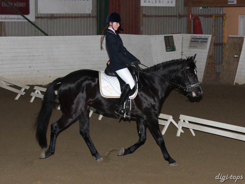 20081123_112000_0092 Emelia Andersson Livia