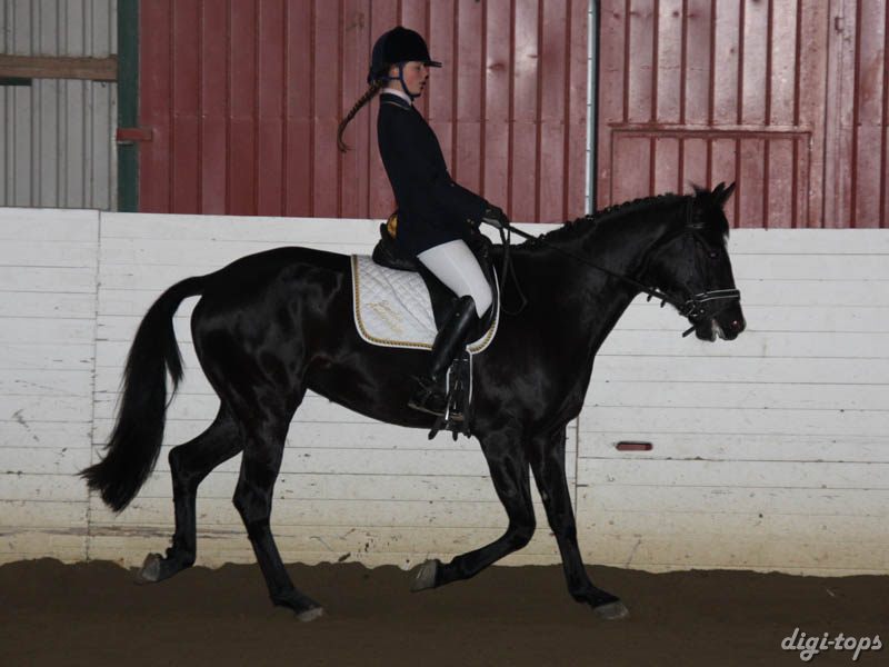 20081123_112110_0095 Emelia Andersson Livia