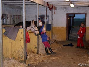 20081214_153520_0002