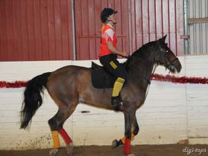 20081214_162932_0087