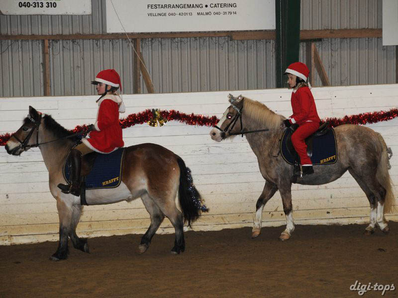 20081214_163212_0092