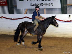 20081214_164614_0115