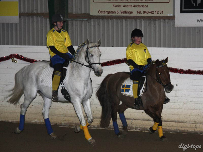 20081214_170222_0091