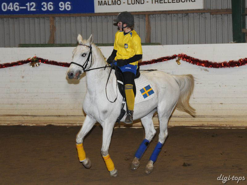 20081214_170502_0155