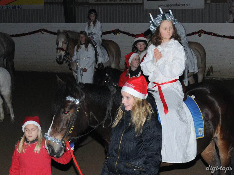 20081214_175252_0225