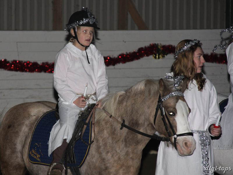 20081214_175358_0133