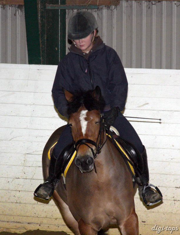 20090113_192034_0049