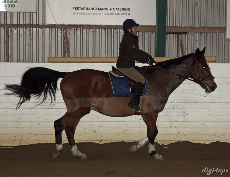 20090113_192312_0056