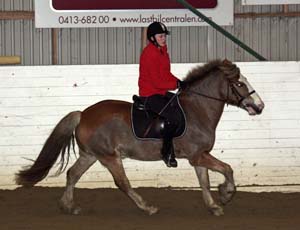 20090113_192326_0057