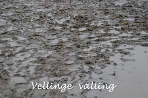 20090308_152020_0056