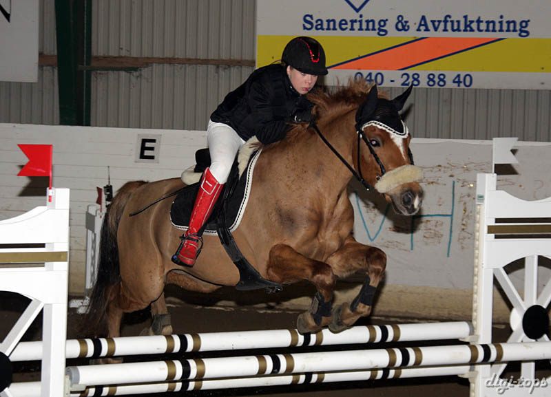 20090308_140920_0200 nicole bieder rips sir ivanhoe