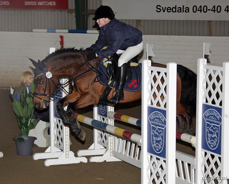 20090308_125646_0059 gina forsen oh my cappuccino