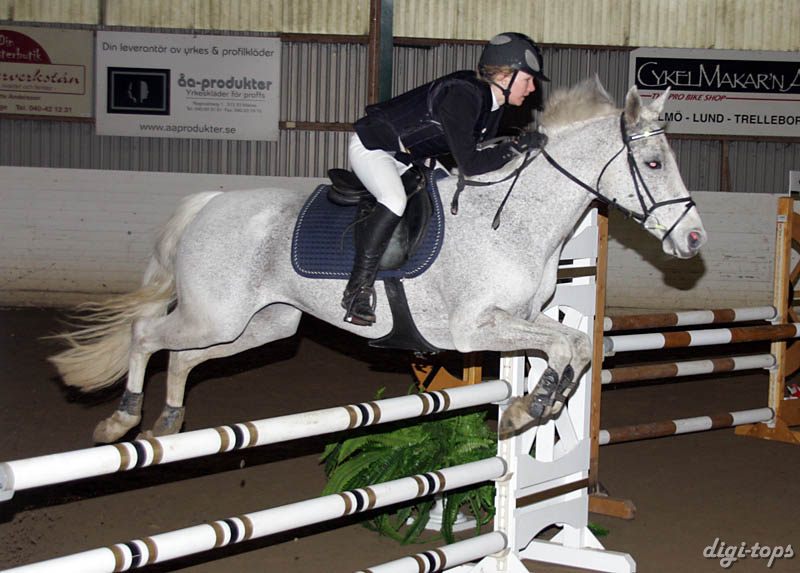 20090308_145628_0261 caroline thuresson silver thread