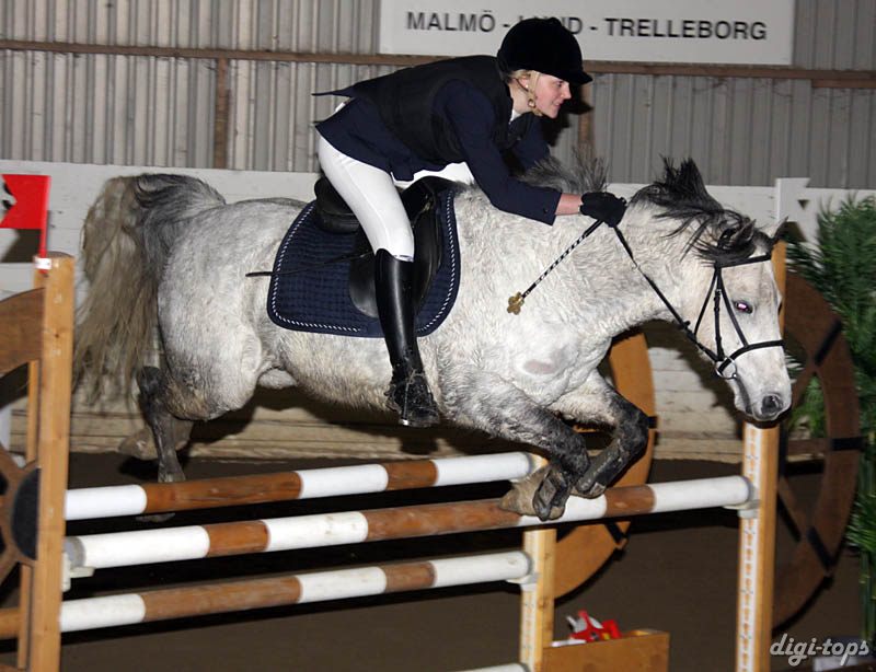 20090308_150612_0275 caroline gustafsson koriander