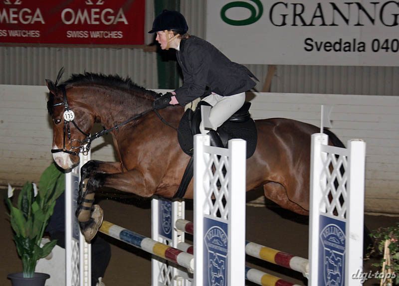 20090308_140246_0186 elina malmberg i wish