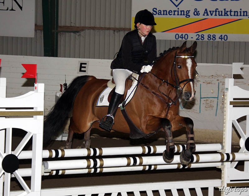 20090308_135724_0175 laura werup dumbledore