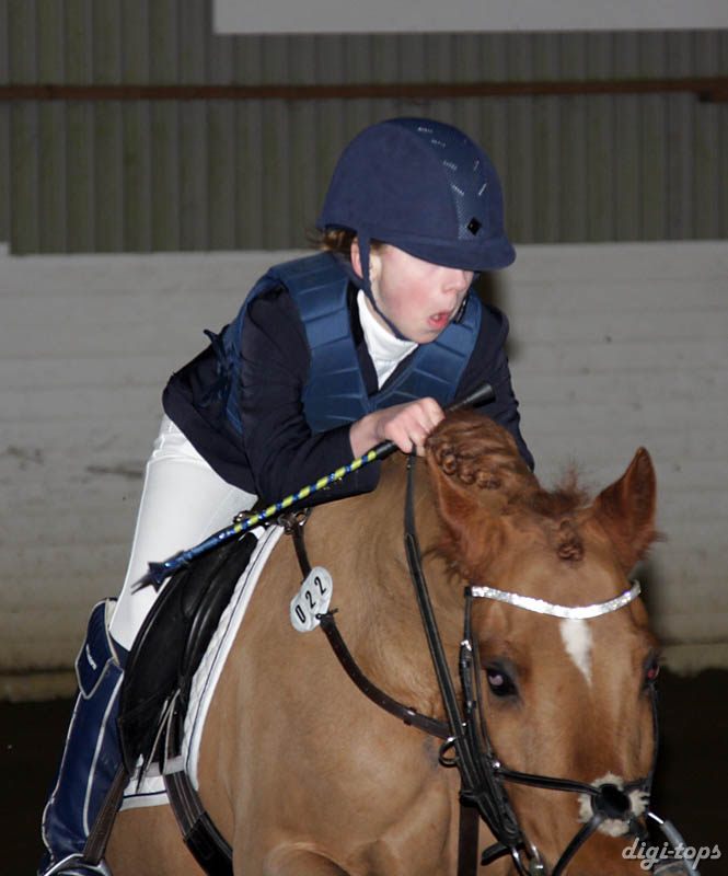 20090307_173556_0066 ebba larsson orchids vince