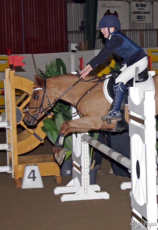 20090307_173612_0067 ebba larsson orchids vince