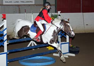 20090307_190302_0188 martina wallentin jane