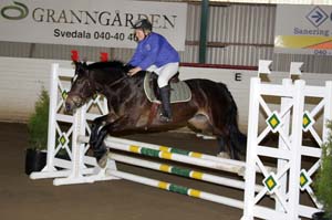 Johansson_Hugo_Brownie_Kl1_Ld_Kd_20090407_165922_0096