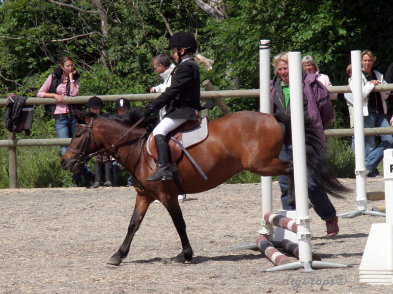 20090606_131418_0002_persson_sofia_magnus