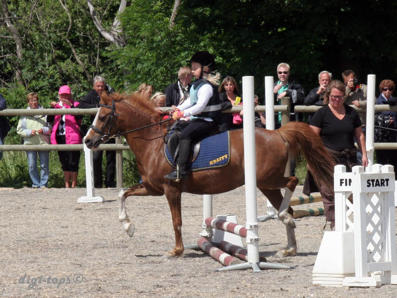 20090606_132544_0003_myrman_alice_diva