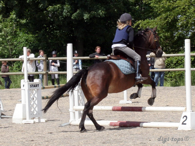 20090606_134846_0103_gullstrand_wilma_destiny