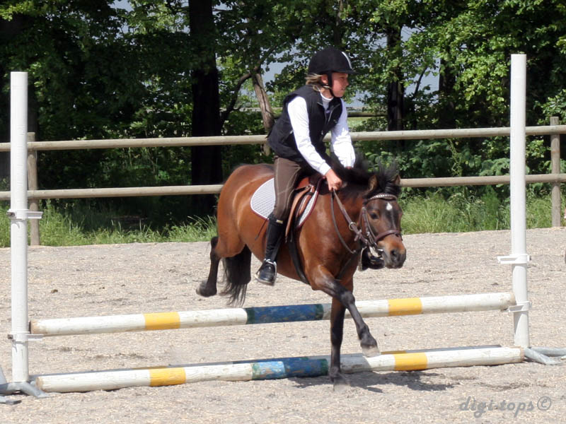 20090606_135756_0126_norin_emmie_magnus