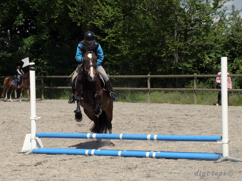 20090606_140540_0142_eriksen_isabell_brownie