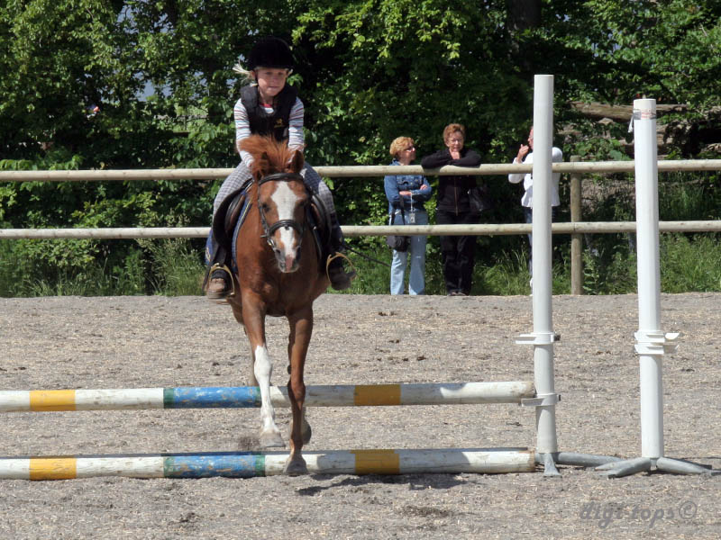 20090606_140810_0149_nilsson_sara_diva