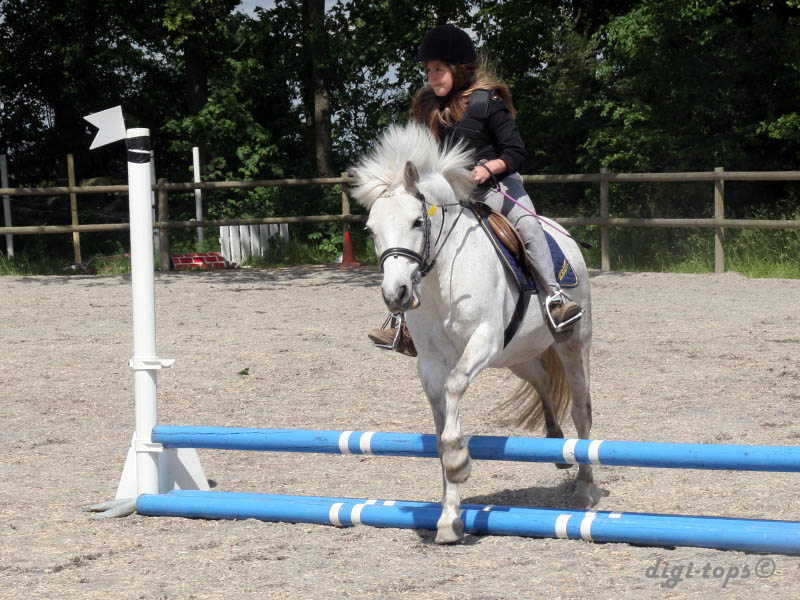 20090606_140954_0153_lindstam_tilde_lucy